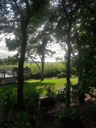 North Sunken Meadow - Eastham, MA