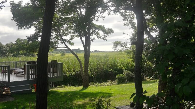 North Sunken Meadow - Eastham, MA