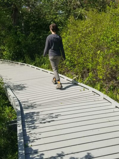 Red Maple Swamp Trail - Eastham, MA