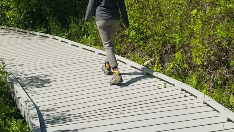 Red Maple Swamp Trail - Eastham, MA