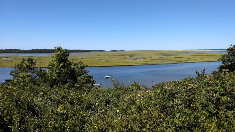 Red Maple Swamp Trail - Eastham, MA