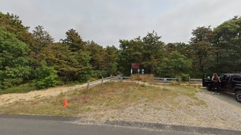 Sandy Meadow Open Space - Eastham, MA
