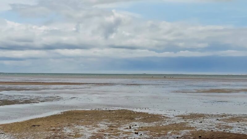 Sunken Meadow - Eastham, MA