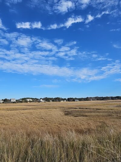 Sunken Meadow - Eastham, MA