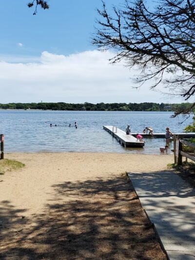 Wiley Park - Eastham, MA