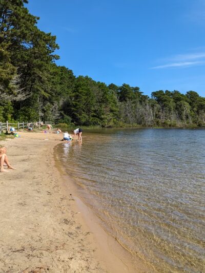 Wiley Park - Eastham, MA