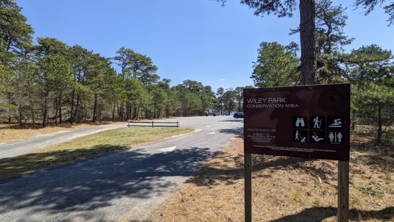 Wiley Park - Eastham, MA