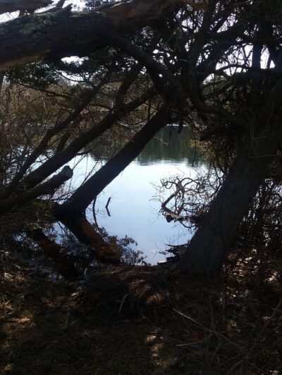 Wiley Park Beach - Eastham, MA