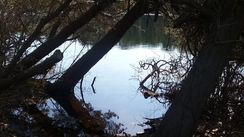 Wiley Park Beach - Eastham, MA