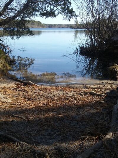 Wiley Park Beach - Eastham, MA