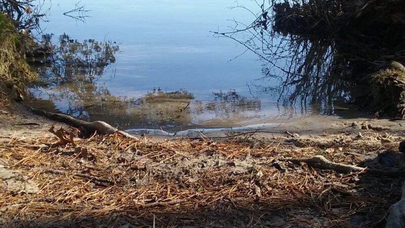 Wiley Park Beach - Eastham, MA
