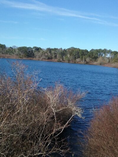 Wiley Park Beach - Eastham, MA
