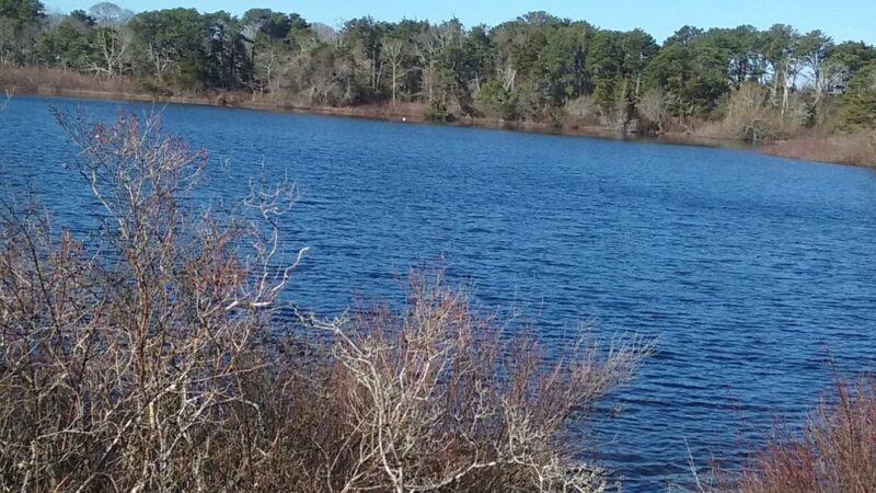 Wiley Park Beach - Eastham, MA