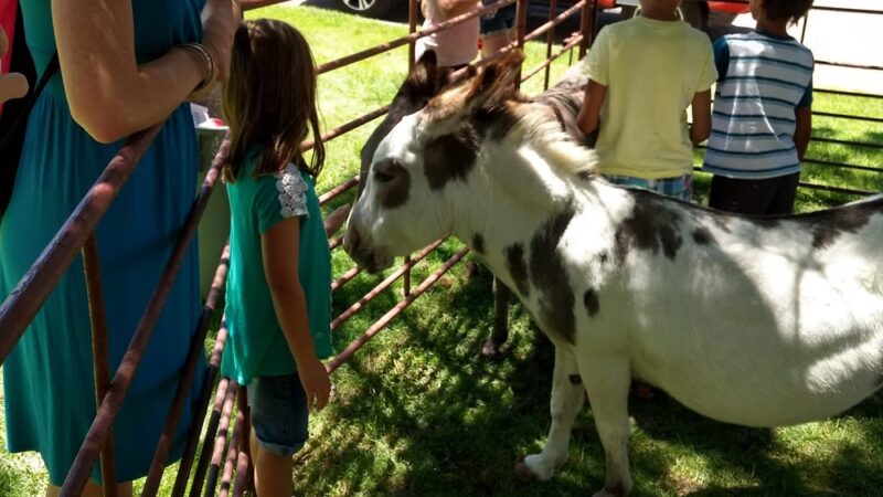 City Park - Eaton, CO