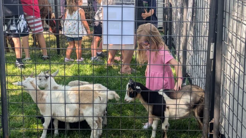 City Park - Eaton, CO