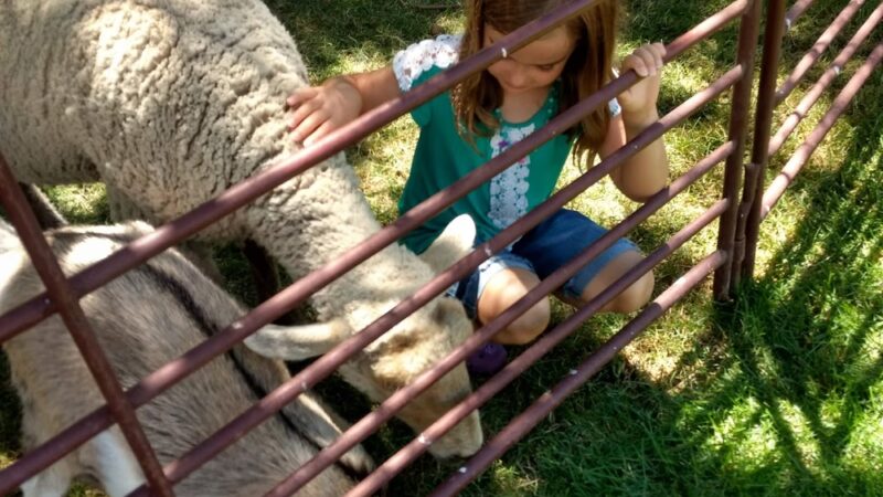 City Park - Eaton, CO