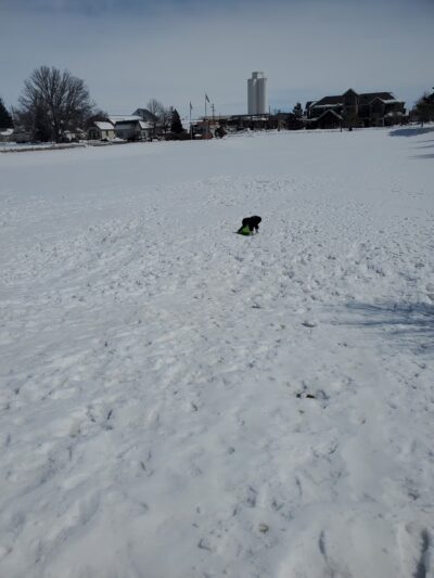 Eaton Town Square - Eaton, CO