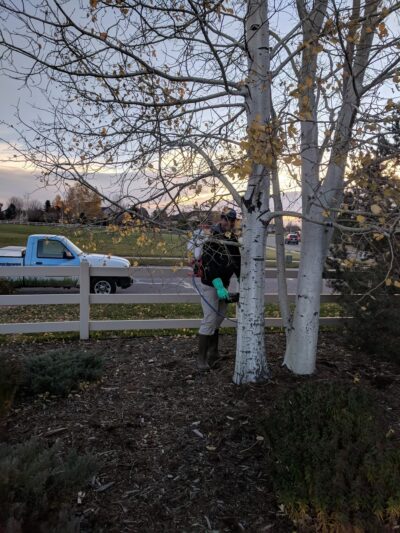 Hawkstone Park - Eaton, CO