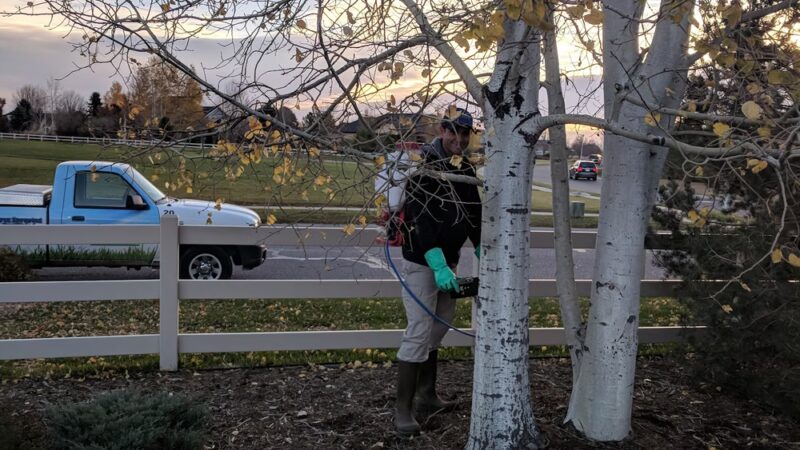 Hawkstone Park - Eaton, CO