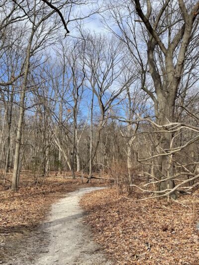 Leon Smock 80 Acre Park - Eatontown, NJ