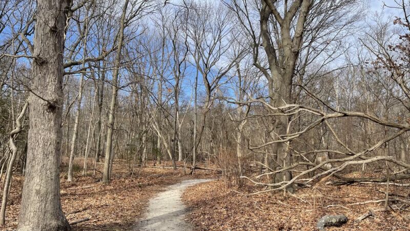 Leon Smock 80 Acre Park - Eatontown, NJ