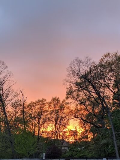 Leon Smock 80 Acre Park - Eatontown, NJ