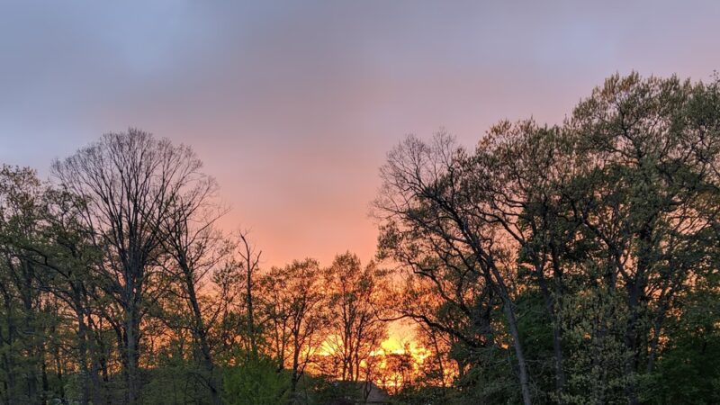 Leon Smock 80 Acre Park - Eatontown, NJ