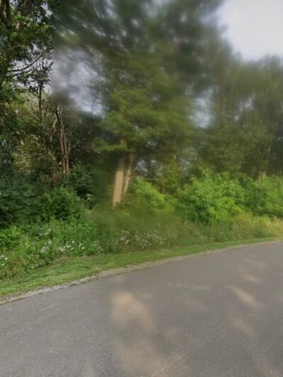 Chippewa river dog park and boat landing - Eau Claire, WI