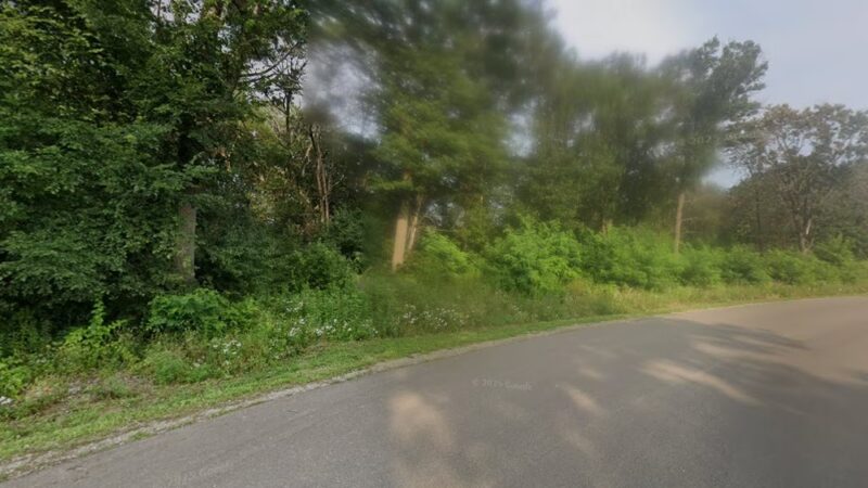 Chippewa river dog park and boat landing - Eau Claire, WI