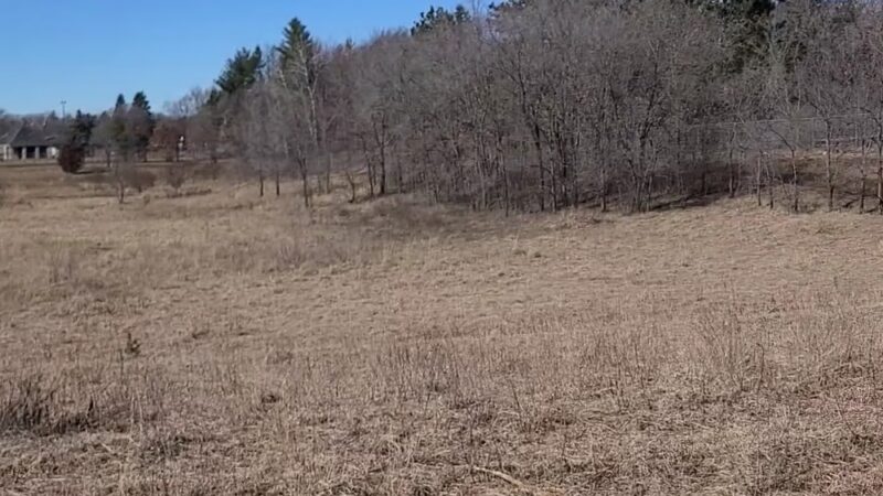 Sundet Park and dog park - Eau Claire, WI