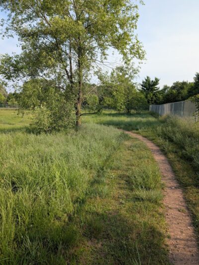 Sundet Park and dog park - Eau Claire, WI
