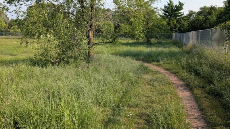 Sundet Park and dog park - Eau Claire, WI