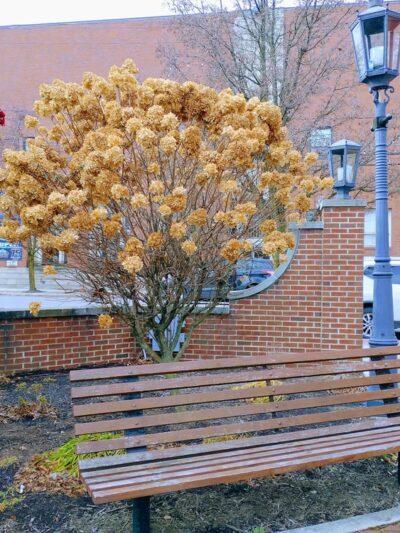 Kimball Park - Ebensburg, PA