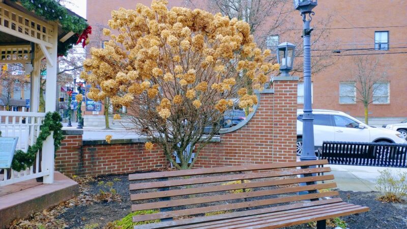 Kimball Park - Ebensburg, PA