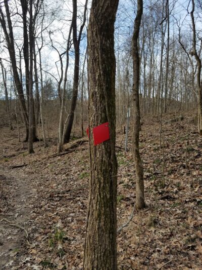 Lee S. Jones Park - Eddyville, KY