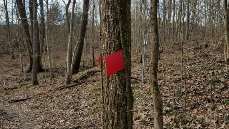 Lee S. Jones Park - Eddyville, KY