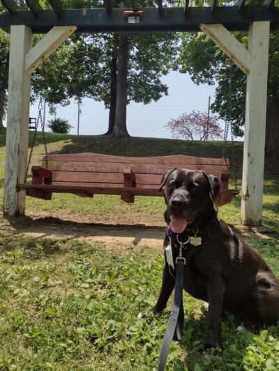 Nancy E. Slaton Playground and Park - Eddyville, KY