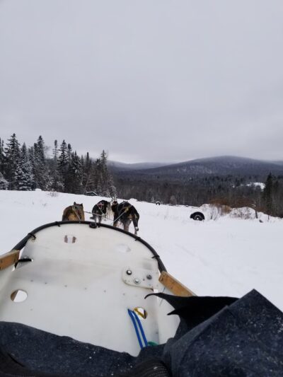 Eden Ethical Dog Sledding Experience - Eden Mills, VT