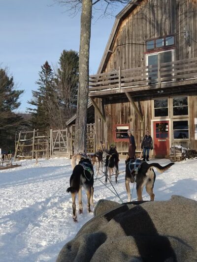 Eden Ethical Dog Sledding Experience - Eden Mills, VT