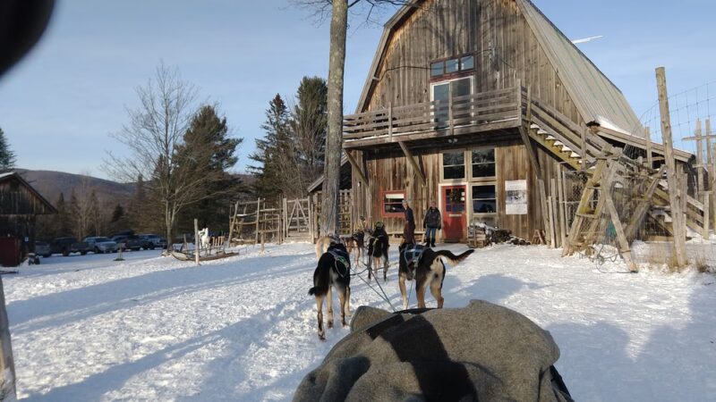 Eden Ethical Dog Sledding Experience - Eden Mills, VT