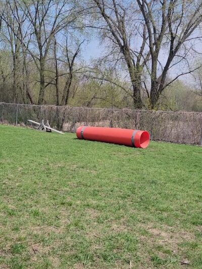 Flying Cloud Dog Park - Eden Prairie, MN