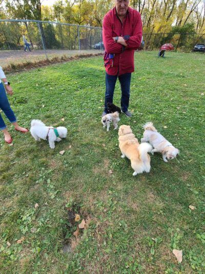 Flying Cloud Dog Park - Eden Prairie, MN