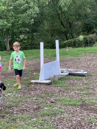 Flying Cloud Dog Park - Eden Prairie, MN