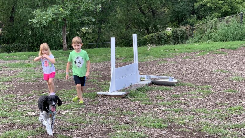 Flying Cloud Dog Park - Eden Prairie, MN