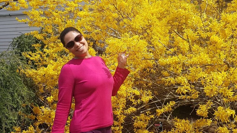 Edgartown Park Department - Edgartown, MA