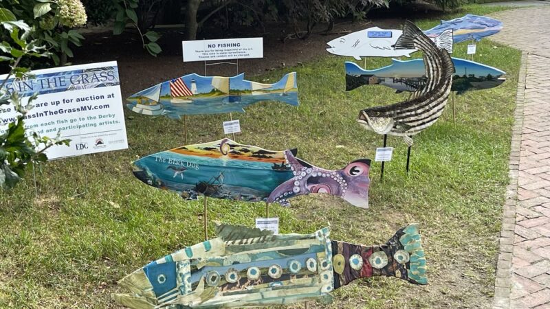 Edgartown Park Department - Edgartown, MA