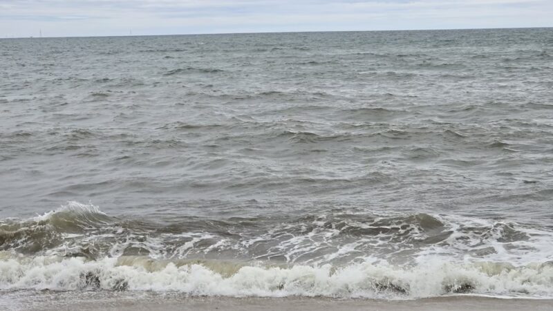 South Beach - Edgartown, MA