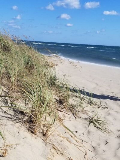 South Beach - Edgartown, MA