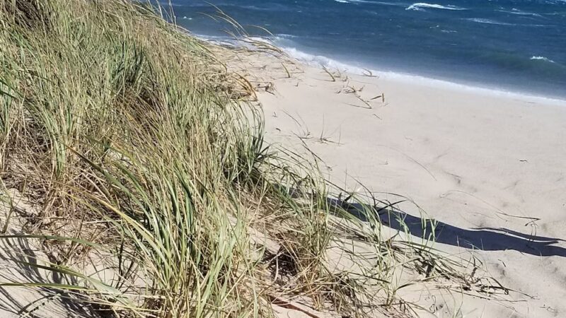 South Beach - Edgartown, MA