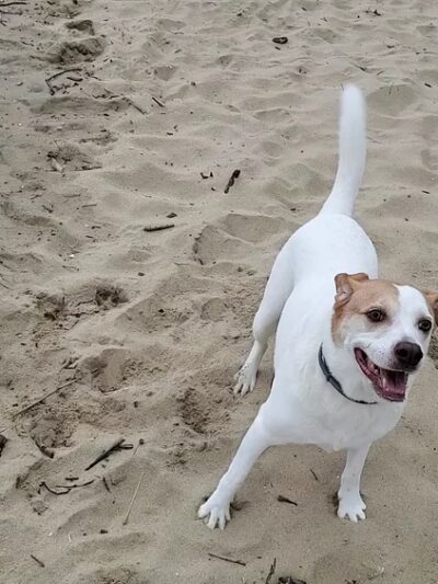 Beverly Triton Nature Park - Edgewater, MD